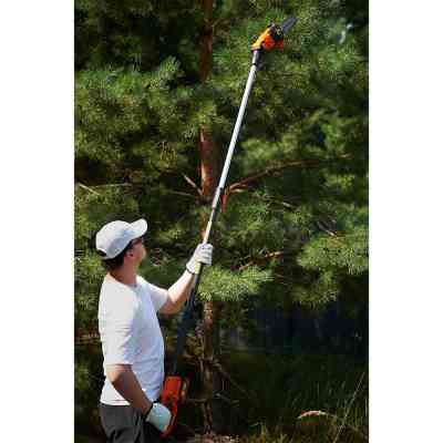 Цепная пила SEQUOIA высоторез с телекскоп. штангой 20 В, шина 20 см, Oregon (SBPS2008TO) Винница