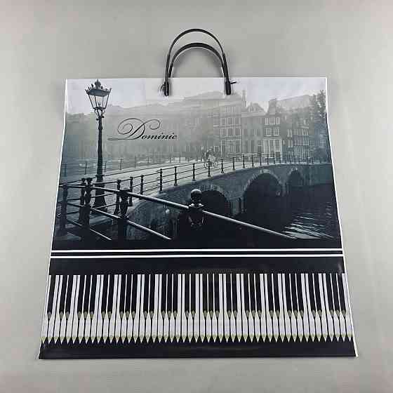 Поліетиленовий пакет (40х40) з пластиковою ручкою "Доміник" (10 шт.) Харків