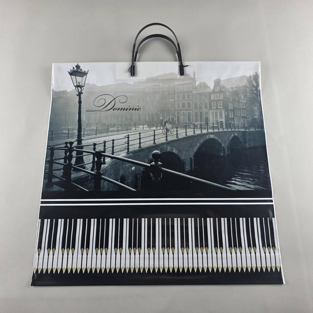 Поліетиленовий пакет (40х40) з пластиковою ручкою "Доміник" (10 шт.) Харків - фото 1