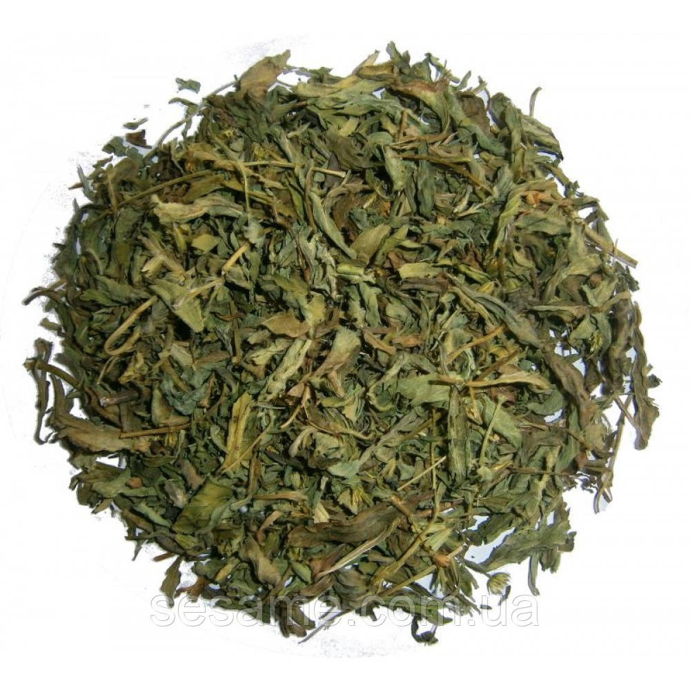 Стевия медовая трава (пак/50грамм) Харьков - изображение 1