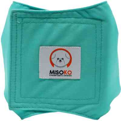 Подгузники для животных MISOKO&CO многоразовые для кобелей, M 3 шт. Сокровище (HAINMSK63988RIN) Винница