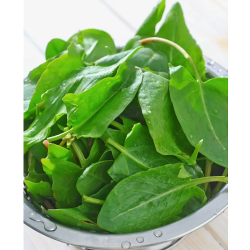 Щавель широколистий 1гр Смачний Житомир - фото 3