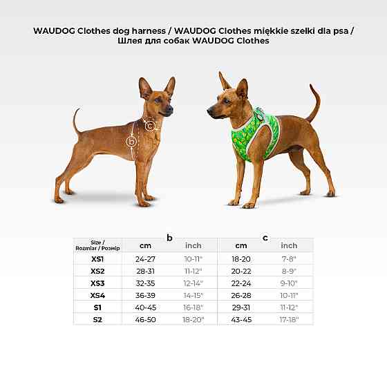 Шлея для собак м'яка WAUDOG Clothes з QR паспортом, малюнок "Авокадо", XS1, В 24-27 см, С 18-20 см Київ