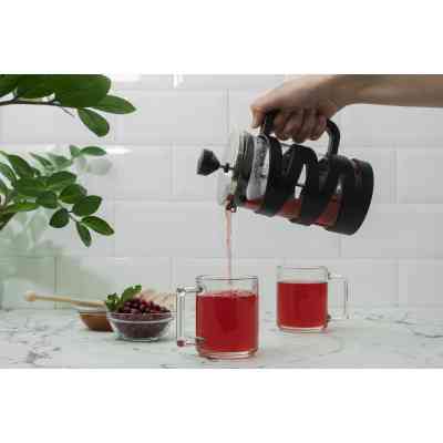 Френч-пресс Ardesto Gemini 600 мл (AR1906BG) Винница