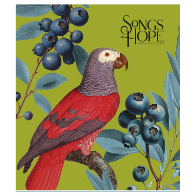 Тетрадь Школярик Birds 60 листов клетка (060-3410K) Винница - изображение 2