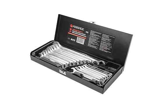 Набор ключей комбинированных 16пр. (6-19, 17,22, 24мм) в металлическом кейсе Forsage F-5161 Одесса