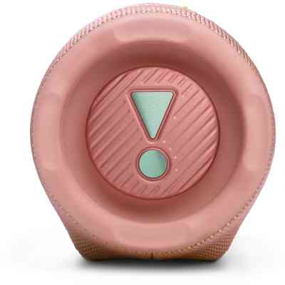 Акустическая система JBL Charge 6 Pink (JBLCHARGE6PINK) Винница
