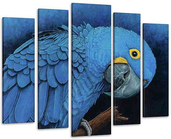 Модульная картина Попугай Art-246_5 ( 80х118см ) 99x140 см Киев