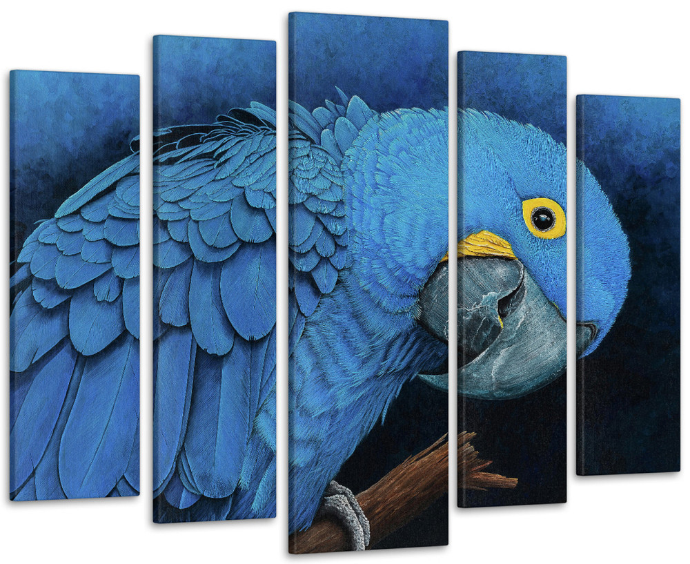 Модульная картина Попугай Art-246_5 ( 80х118см ) 99x140 см Киев - изображение 1