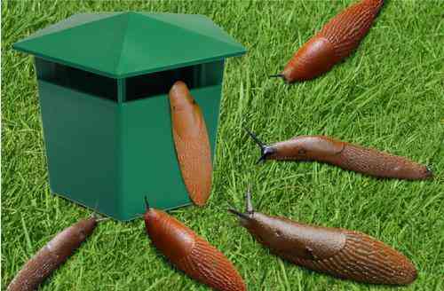 Пастка Garden Line для слимаків та равликів Київ