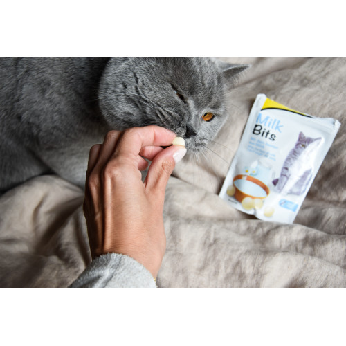 Вітаміни GimCat таблетки Every Day для котів усіх порід з молоком 40г Київ - фото 2