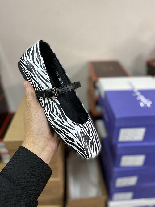 Zemira Балетки жіночі ZEMIRA зебра натуральна шкіра 38-39р. (5602) Коломыя - изображение 1