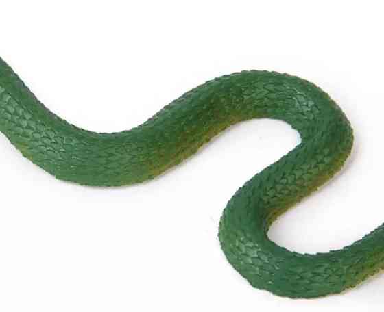 Іграшка змія реалістична 23 см зелений Київ