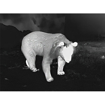 Тепловізійний приціл Guide TR 420 QD Long mount 2,3-9,2x25 384x288@12μm VOx 1300 м (TR420LongQD) Вінниця - фото 7