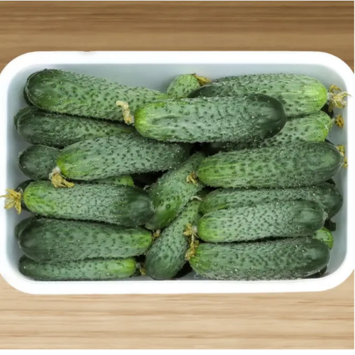 Огірок Директор F1 самозапильний 10шт Професійне насіння Житомир - фото 3