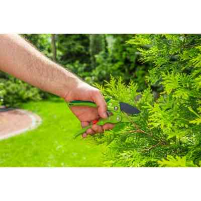 Секатор Verto с трещеткой (15G205) Вінниця