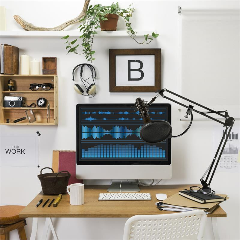 CM001B Комплект мікрофонів Конденсаторний мікрофон V4 Кронштейн мікрофона Захист від зламу чорний (Німеччина, Рівне - фото 2