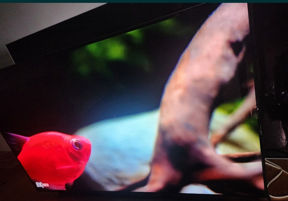 Телевизор: LG OLED 48C2 , 4K, 120Hz. Dolby Vision. Киев - изображение 2