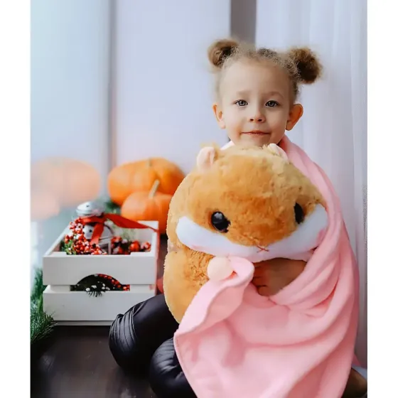 Плед-хомяк 3 в 1, Плед, Игрушка, Подушка Коломыя