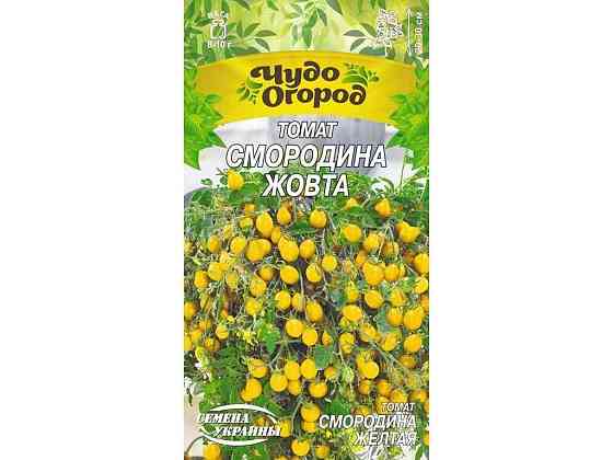 Томат низькорослий ЧудО СМОРОДИНА ЖОВТА 0,1г (10 пачок) (рс) ТМ НАСІННЯ УКРАЇНИ Київ