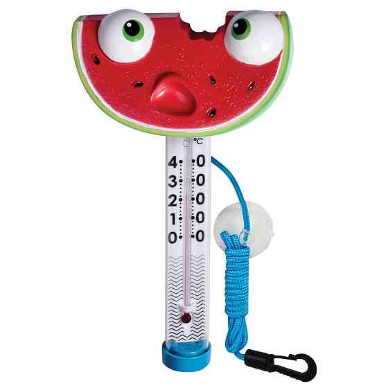 Термометр для бассейна Kokido TM06DIS/C Арбуз Киев