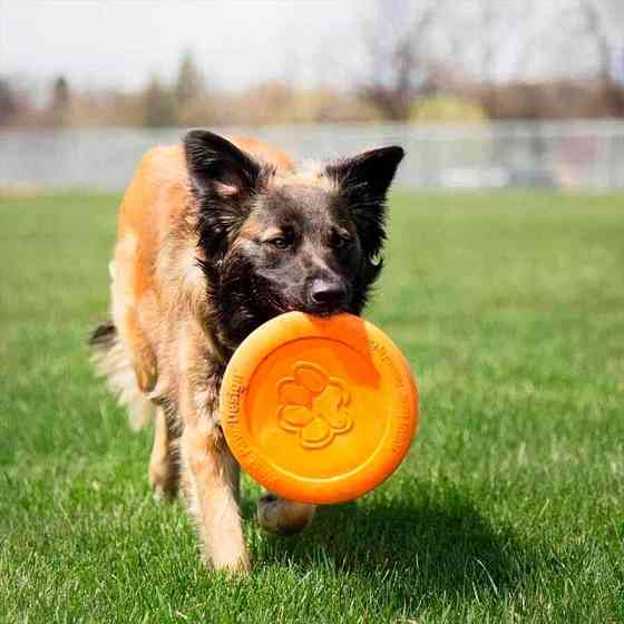 West Paw Zisc Flying Disc (Вест Пав Зиск) игрушка для собак фрисби Большой - 22 см., Оранжевый Запорожье