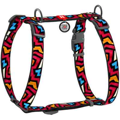 Шлея для собак WAUDOG Nylon з QR паспортом анатомічна H-подібна "Графіті" S (5607) Вінниця