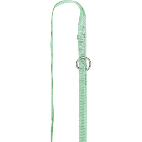 Шлея з повідцем Trixie для цуценят S–M 26–34 см х 10 мм 2,00 м м ятний Київ - фото 6