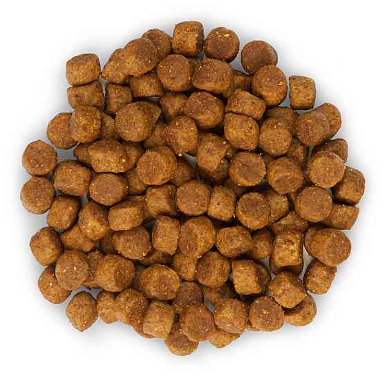 Hills SP Puppy Medium Chicken (Хиллс СП Паппи Медиум) для щенков средних пород до 1 года и беременных собак 14 кг Запорожье