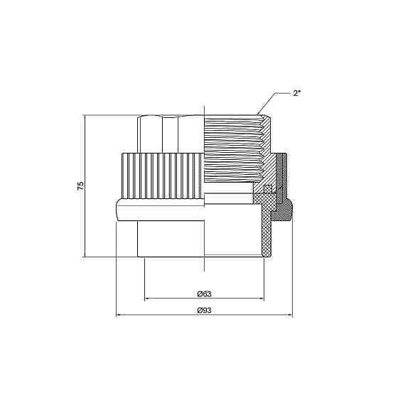 Муфта PPR Thermo Alliance 63х2" ВР Київ