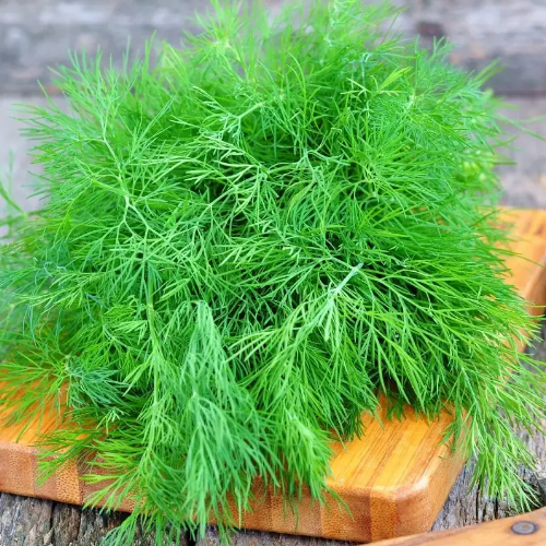 Кріп Алігатор 3гр Смачний Житомир