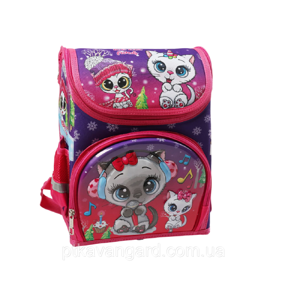 Школьный портфель каркасный 