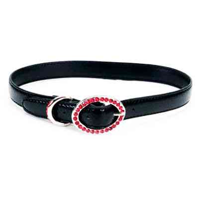 Coastal TOO! Jazzy Jewel КОСТАЛ кожаный ошейник для собак Киев