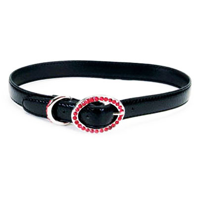 Coastal TOO! Jazzy Jewel КОСТАЛ шкіряний нашийник для собак Київ - фото 1