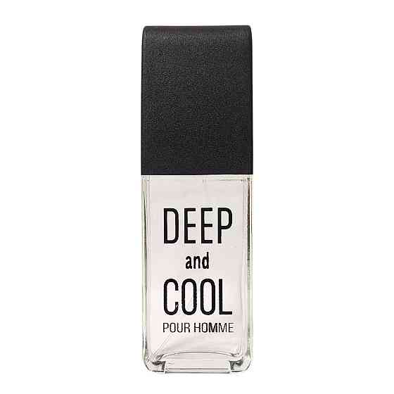 Туалетная вода мужская Deep and Cool Best 100 мл Запорожье