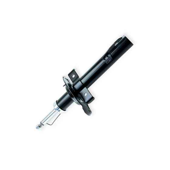 Амортизатор передний автомобиль Рено Megane II 03- Мукачево