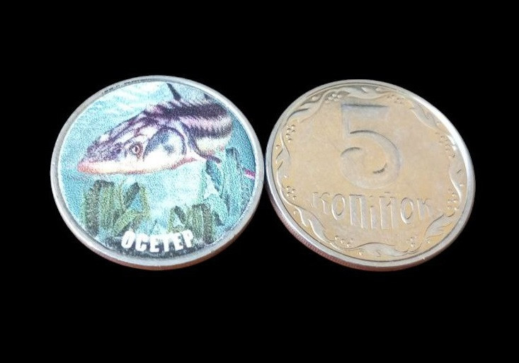 Україна 5 копійок монета нової серії ПРИРОДА УКРАЇНИ ОСЕТЕР Полтава - изображение 1