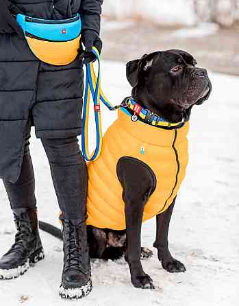 Повідець для собак з нейлону WAUDOG Nylon малюнок "Colors of freedom", розмір M, Ш 20 мм, Д 122 Коломия
