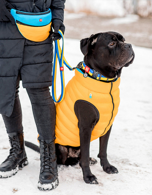 Повідець для собак з нейлону WAUDOG Nylon малюнок "Colors of freedom", розмір M, Ш 20 мм, Д 122 Коломыя - изображение 2