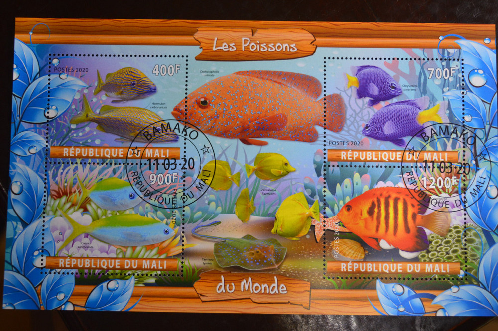 Малі. Марки. Фауна. Блок. 2019 рік (У-2) Полтава - фото 1