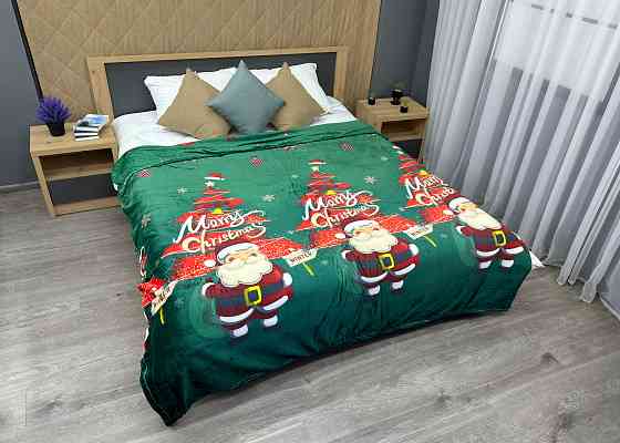 Плед-покрывало 200х230 см с рождественским принтом Разноцветный (87-324) Киев