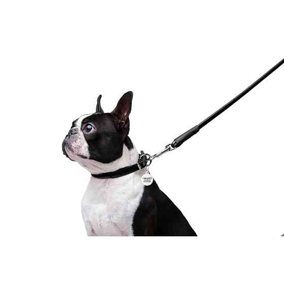 Повідець для собак шкіряний WAUDOG Glamour круглий, Д 8 мм, Дов 122 см чорний Коломия