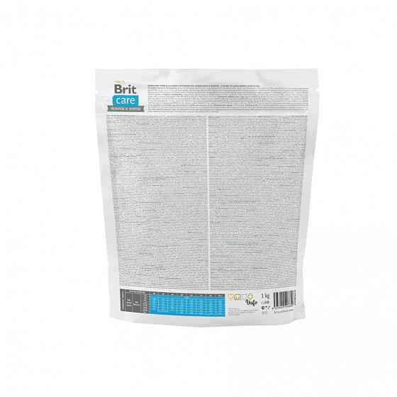 Сухой корм Brit Care Dog Grain-free Junior Large Breed для молодых собак больших пород, беззерновой с лососем, Винница