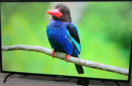 Телевізор Medion 55 4K Київ