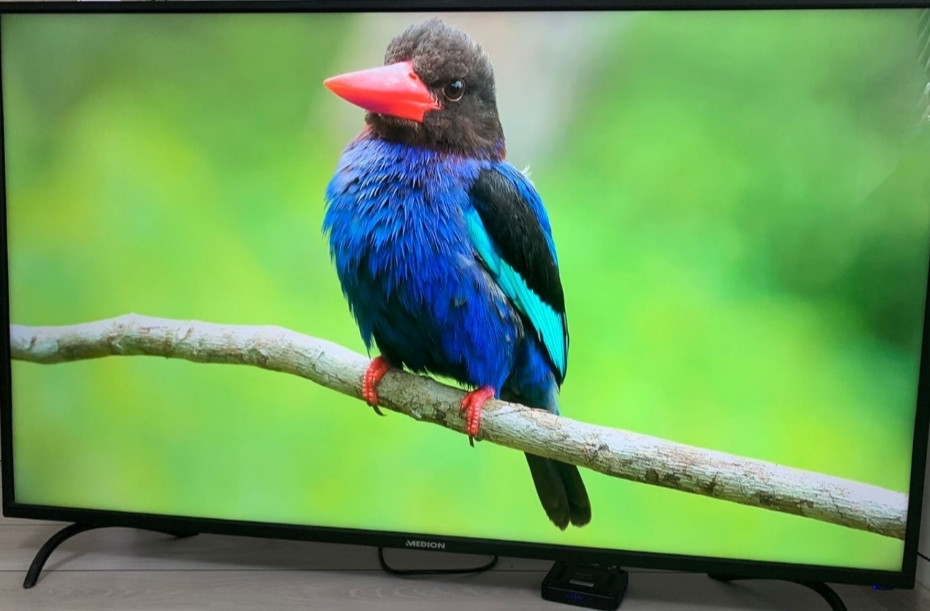 Телевізор Medion 55 4K Київ - фото 6