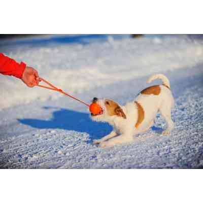 Игрушка для собак Liker Line Мячик с лентой 5 см (6286) Винница