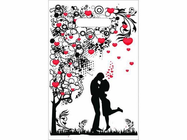 Пакеты с вырубной ручкой (20*30) 