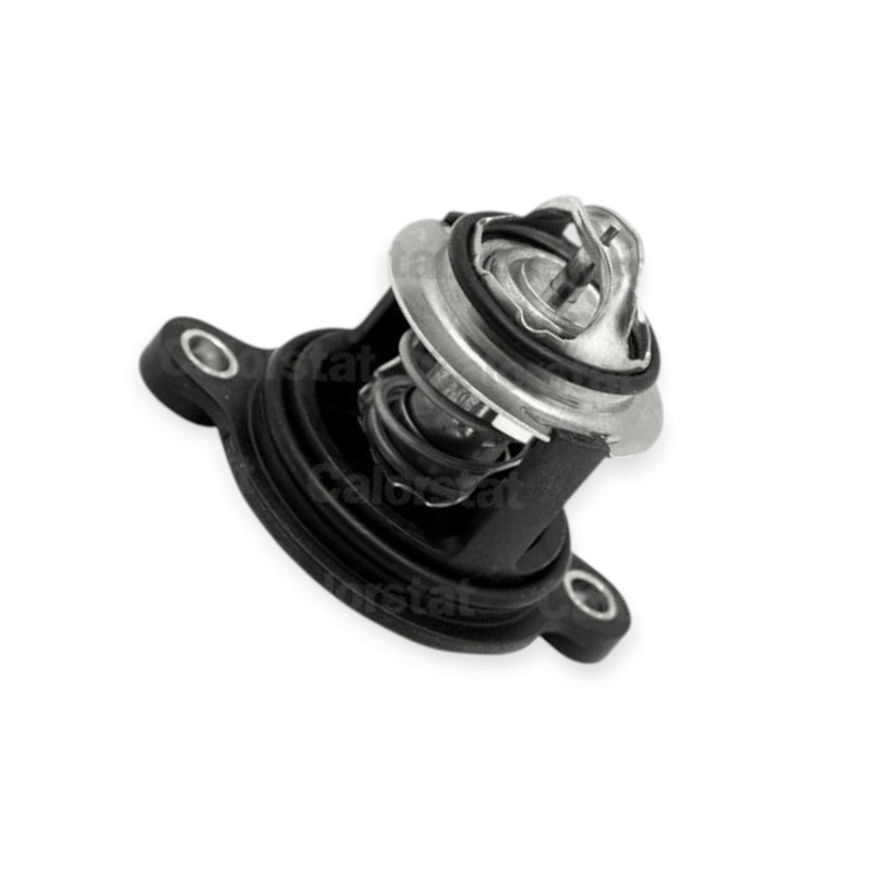 Термостат Fiesta 1.0, 1.1 (2012-) Мукачево - фото 1