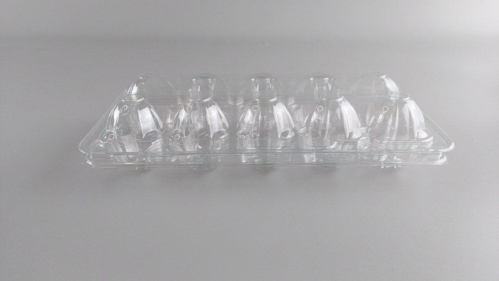 Упаковка для перепелиных яиц 10 ячеек (50 шт) Харьков - изображение 2