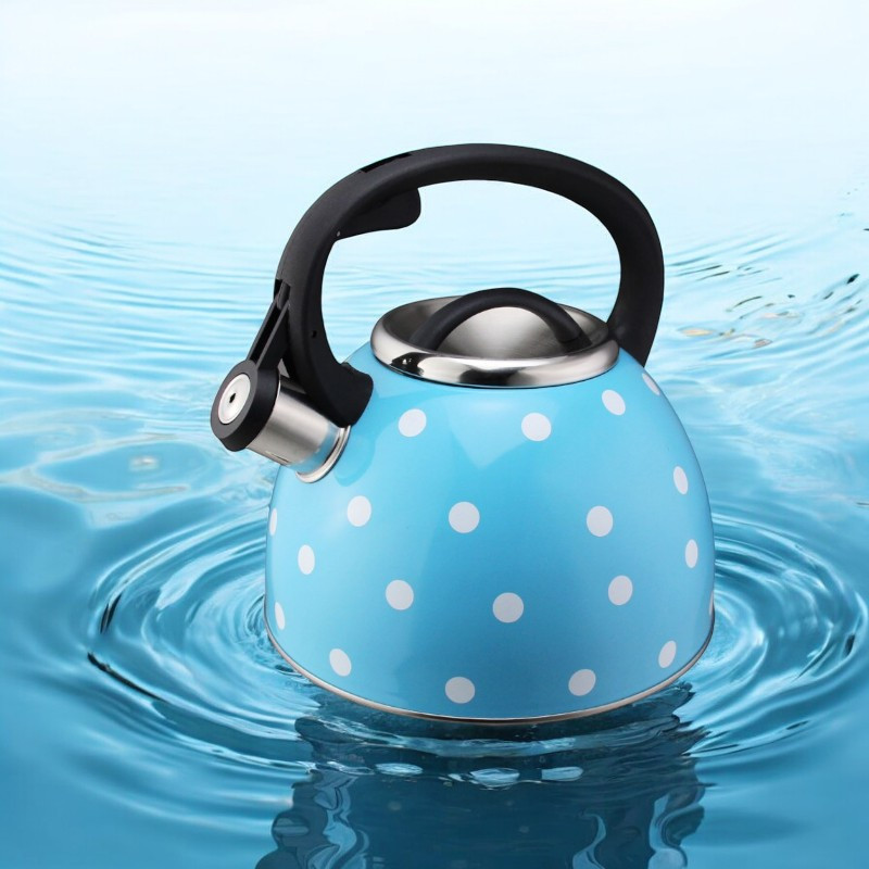 Чайник со свистком UNIQUE UN-5301 2.50 л для всех типов плит Одесса - изображение 1